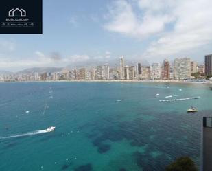 Vista exterior de Apartament de lloguer en Benidorm amb Terrassa