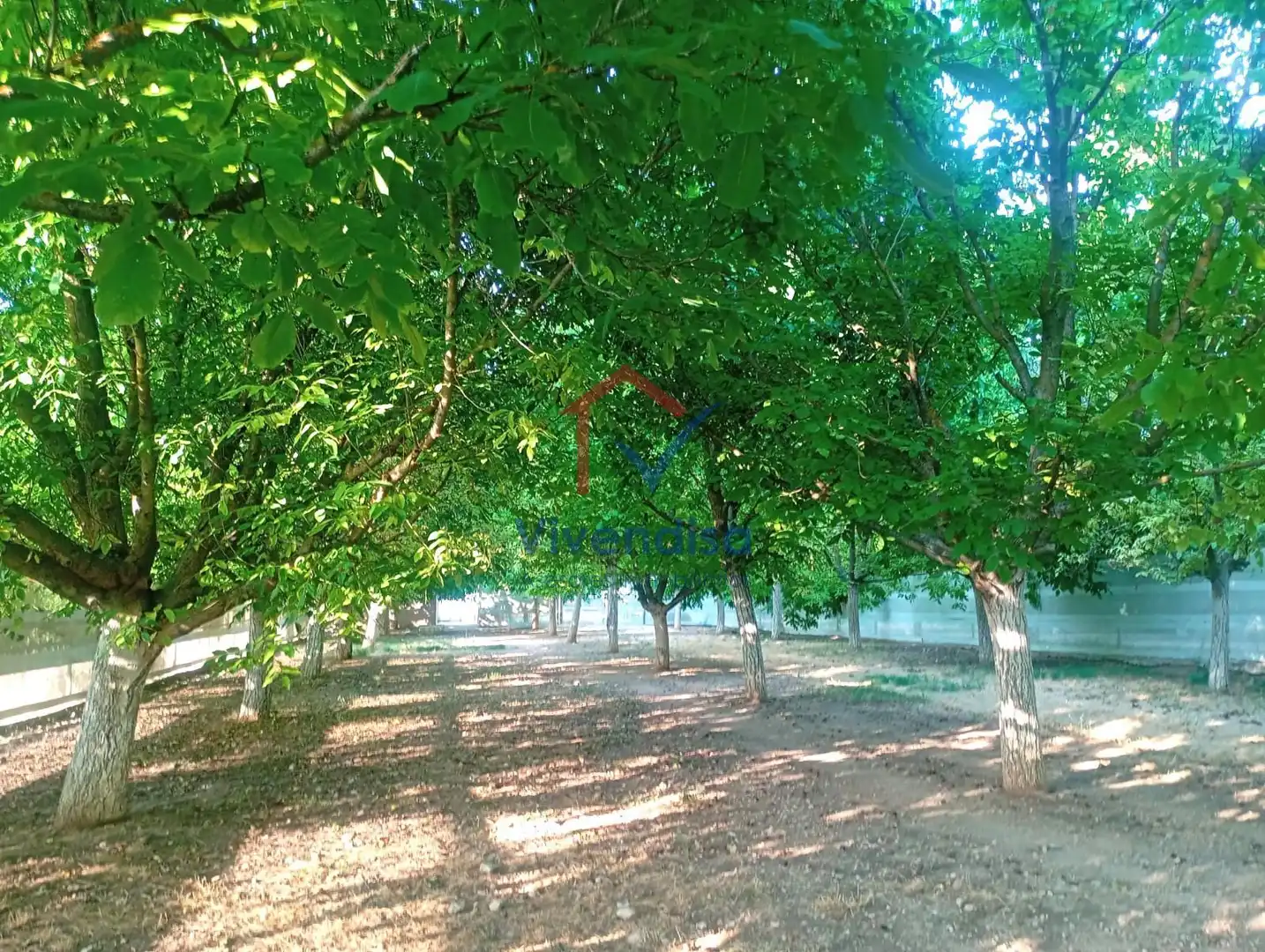 Terreny rústic en venda a Pesquera (Polígono 512), imagen 47