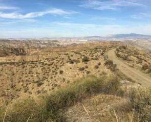 Land for sale in Gorafe