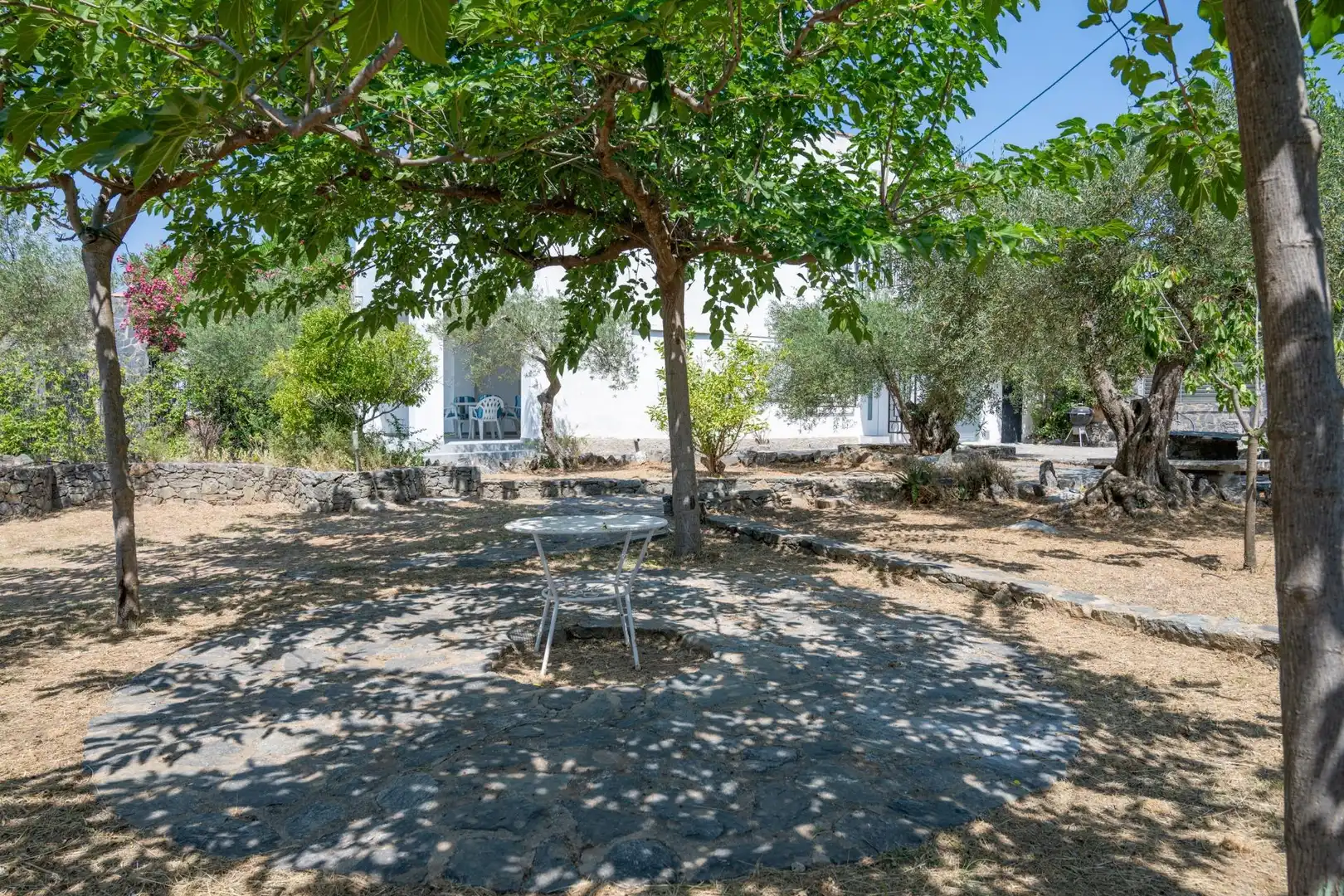 Garden of Houses for sale in Nord
