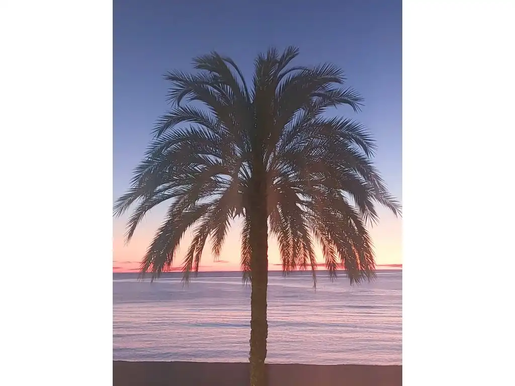Vista exterior de Apartament en venda en Altea amb Balcó