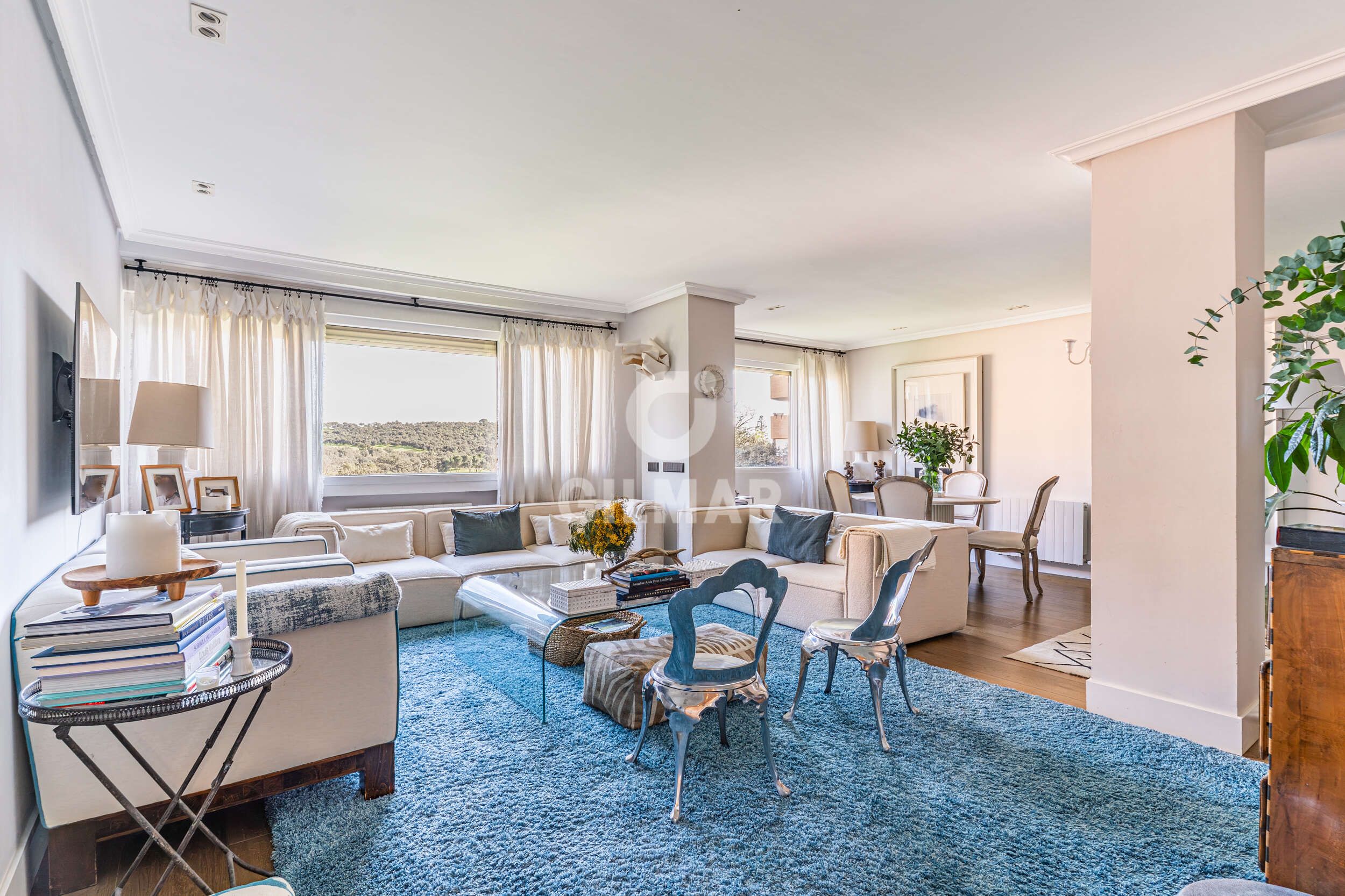 Sala de estar de Piso en venta en  Madrid Capital con Calefacción, Jardín privado y Piscina