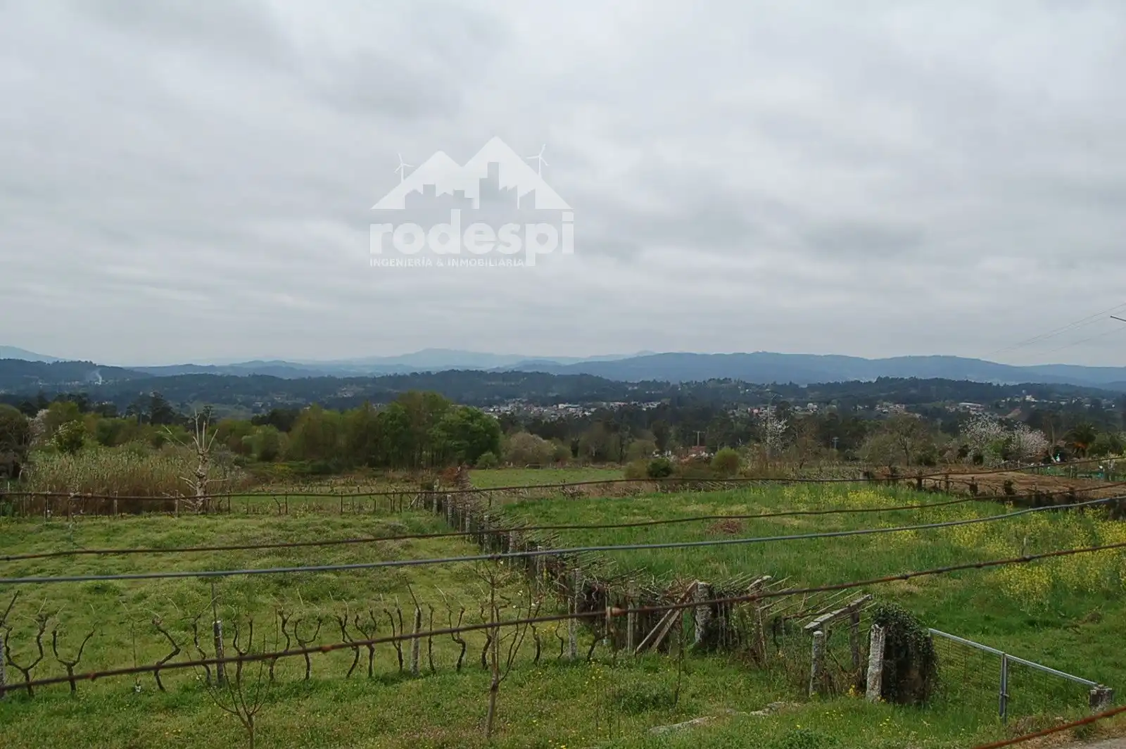 Terrain rustique à vendre à As Neves, imagen 4