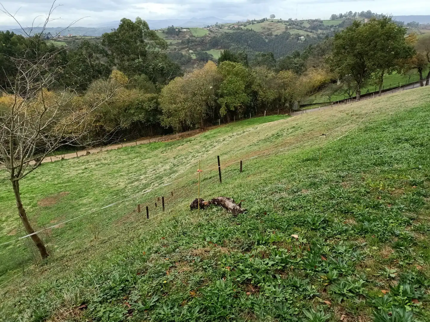 Terreny rústic en venda a Camín de Huerces 9, imagen 6