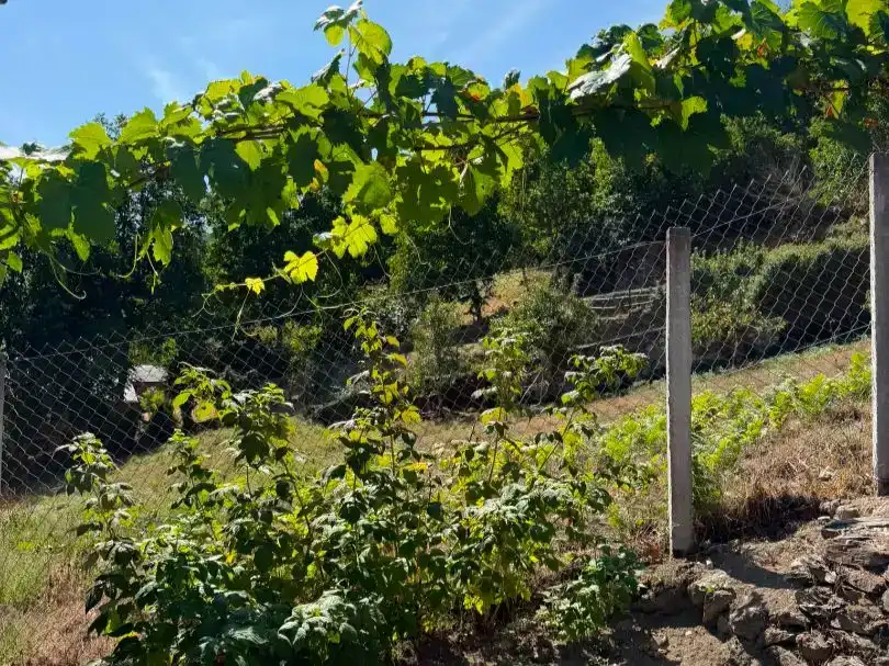 Finca rústica en venda en Navia de Suarna, Lugo