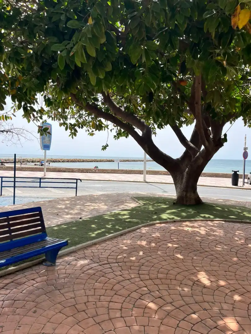Vista exterior de Apartamento de alquiler en Santa Pola con Calefacción, Amueblado y Microondas