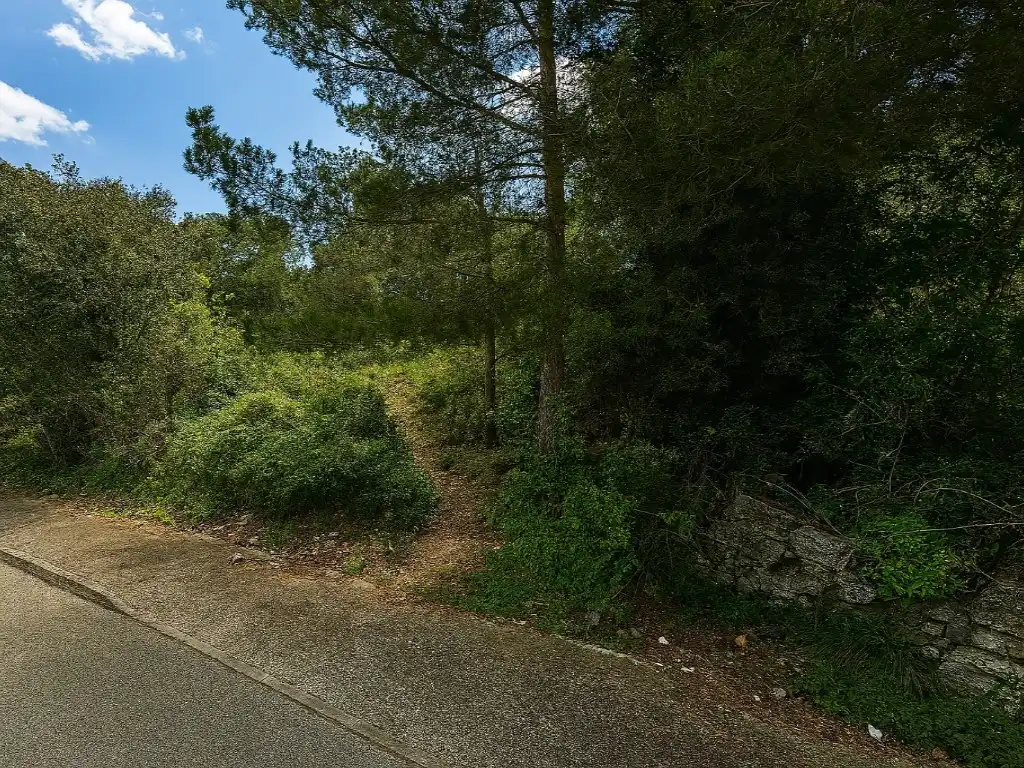 Residential land for sale in Calle Tulipa (Plana Torres), imagen 6