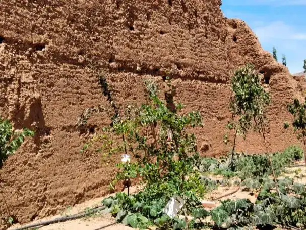 Jardín de Finca rústica en venta en Villazala
