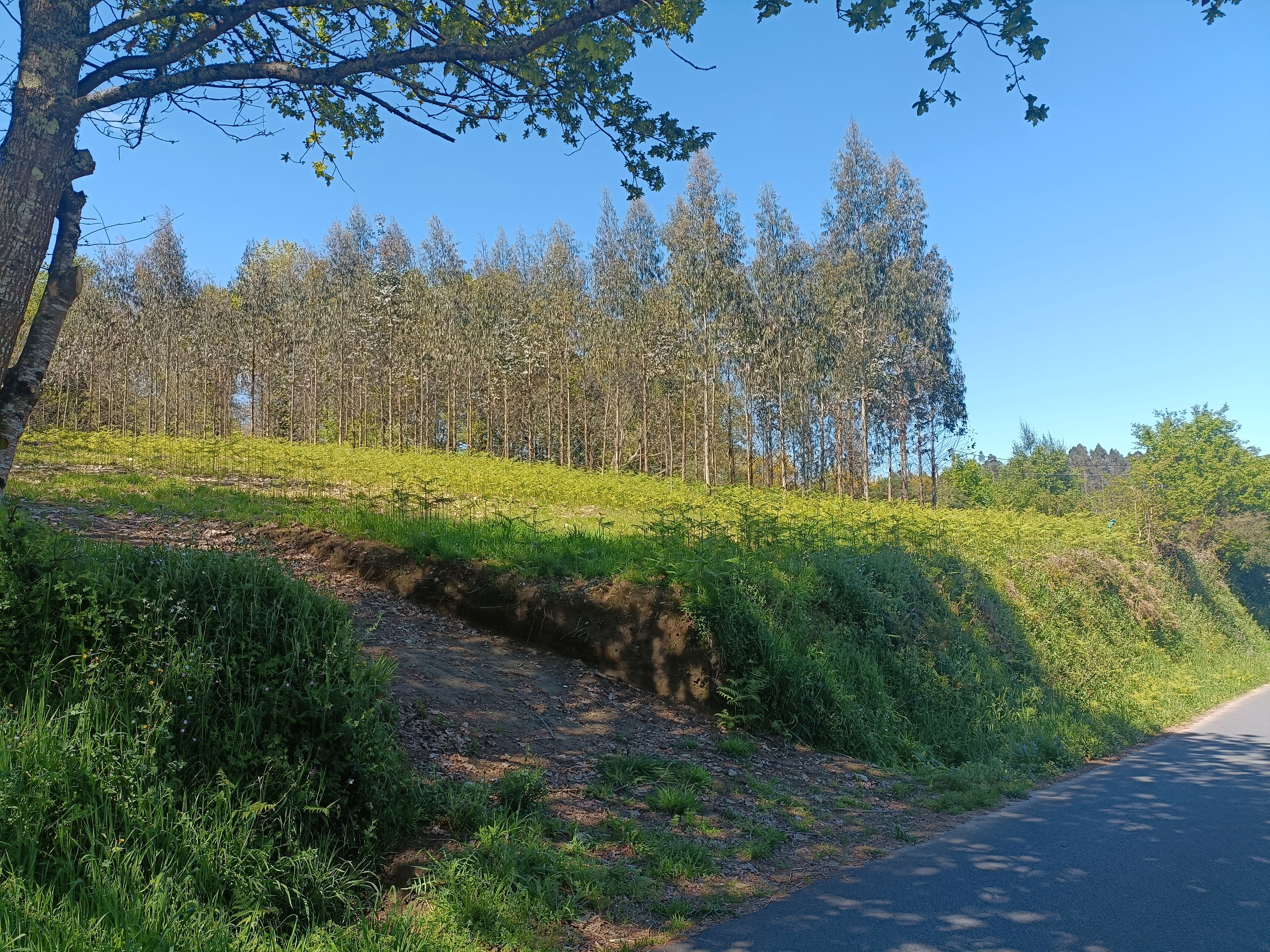 Residencial en venda en Oza dos Ríos