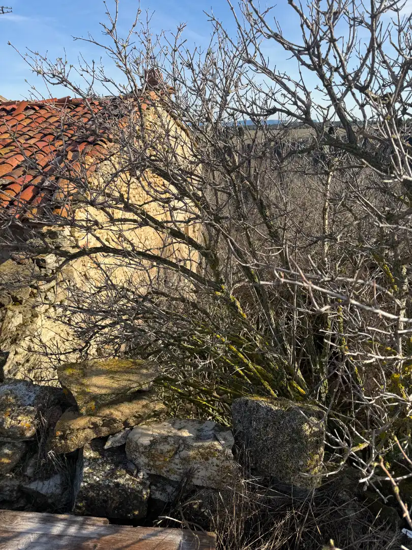 Vista exterior de Finca rústica en venta en Castielfabib