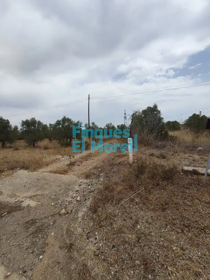 Finca rústica en venda en Constantí