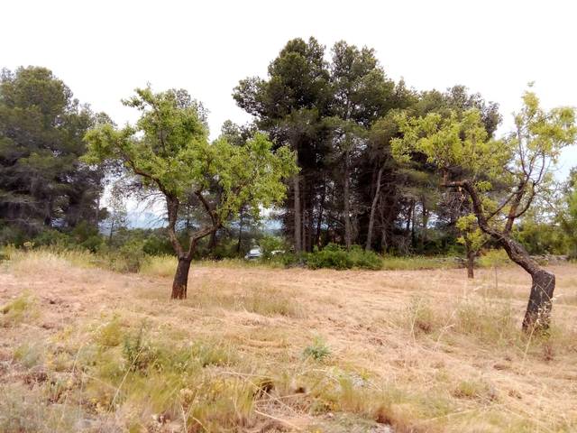 Terreno en Venta en Arens de Lledó