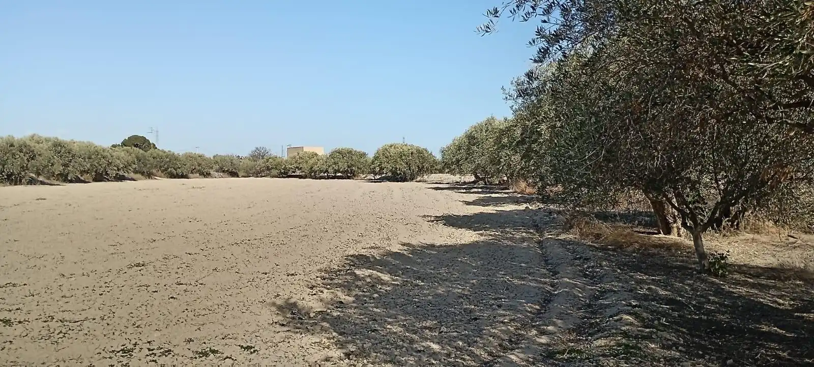 Maison avec jardin à vendre à Mojácar Pueblo, imagen 33