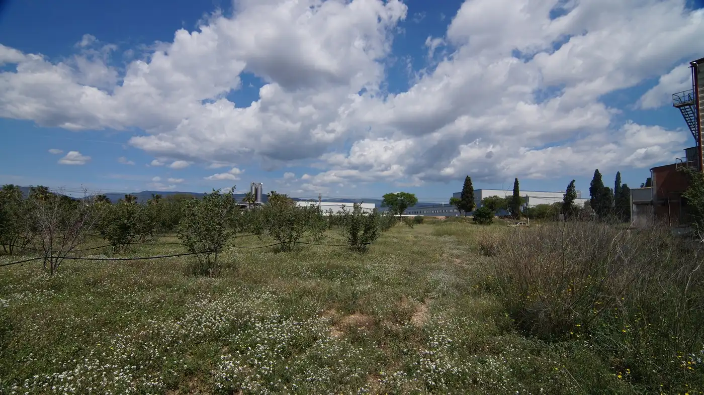 Nau industrial en venda en Vilallonga del Camp