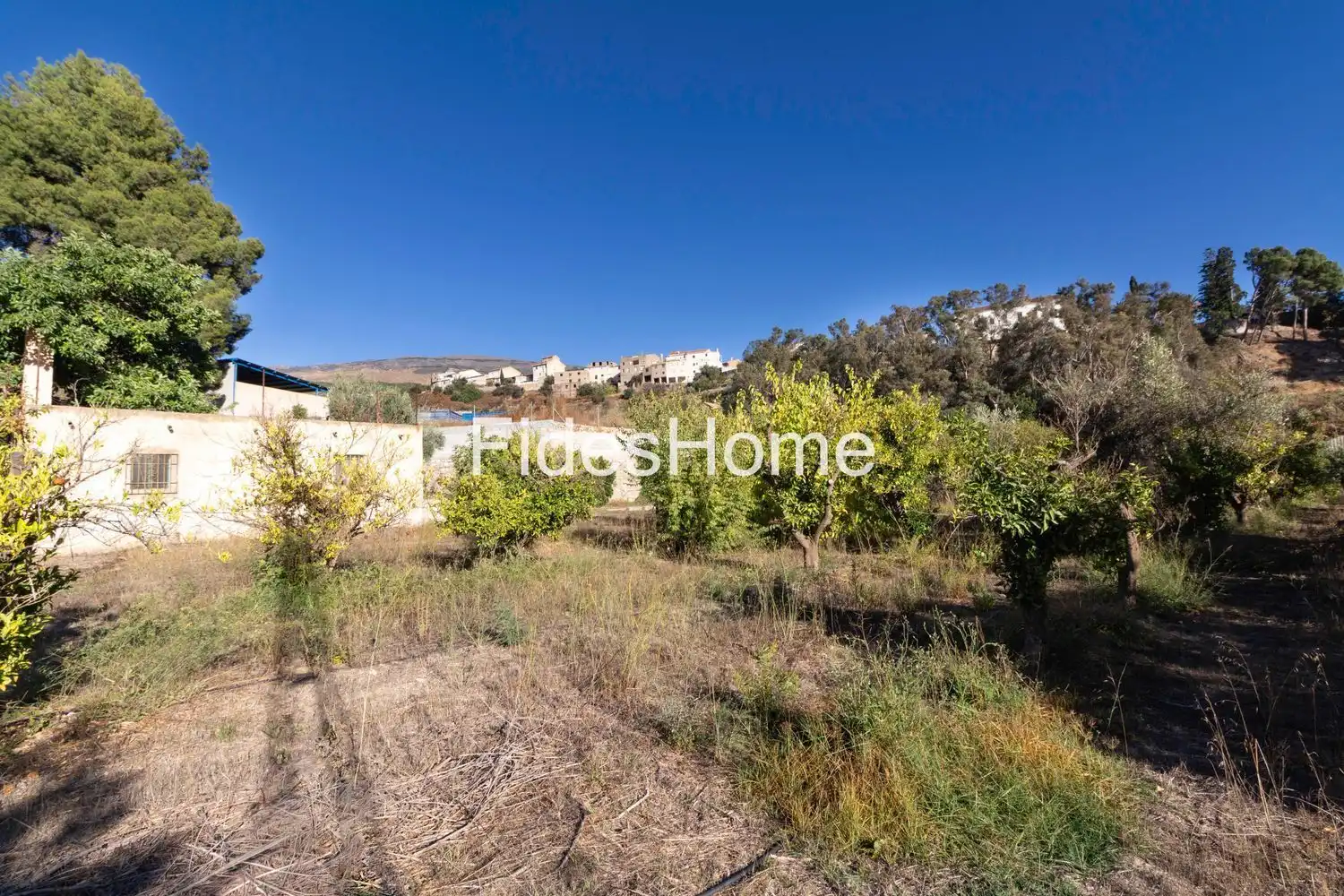 Terreno rustico in vendita a XC2W+49C Talará 0, imagen 17