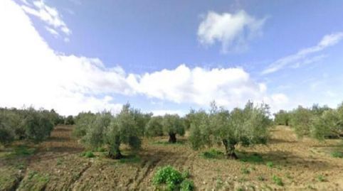 Foto 2 von Grundstücke zum Verkauf in Bujalance, Córdoba