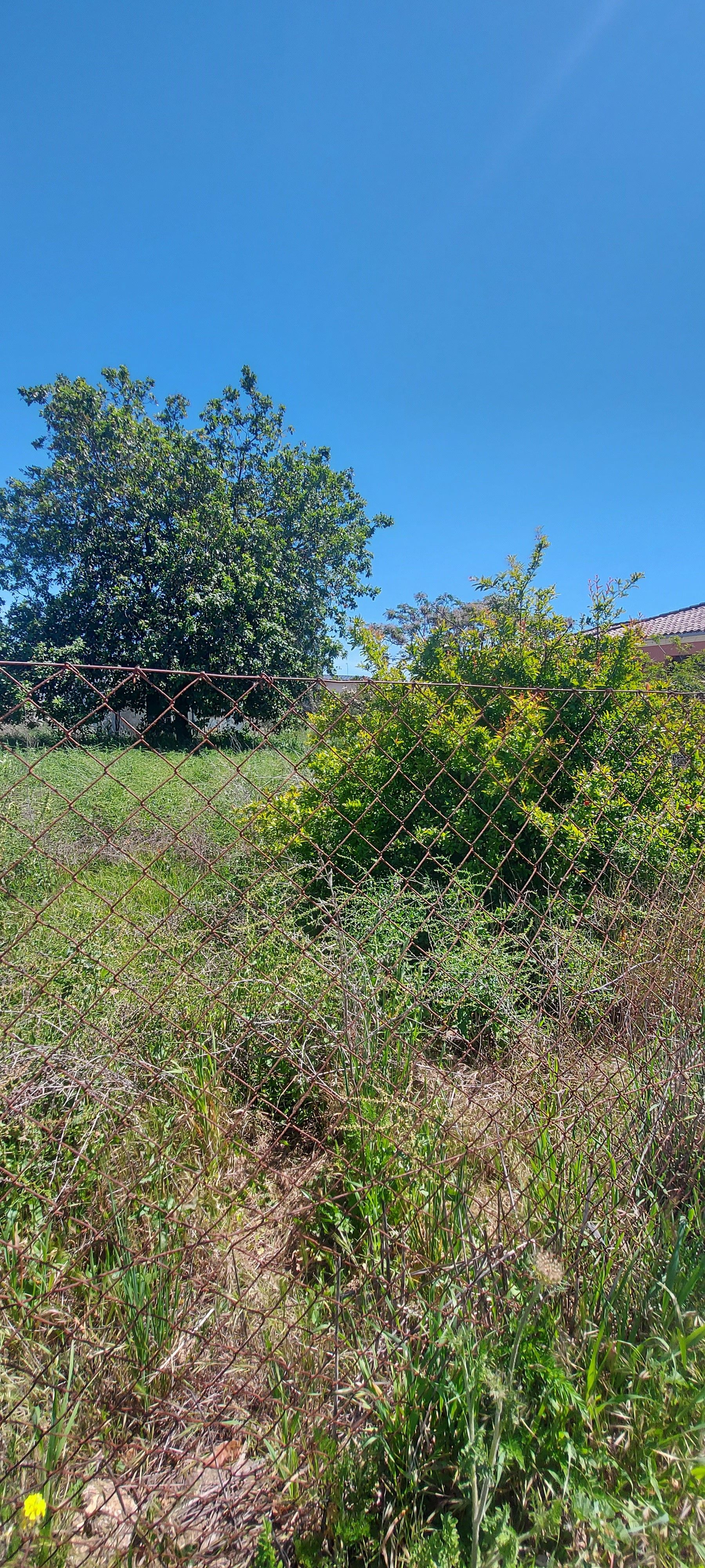 Country house for sale in Chiclana de la Frontera