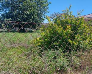 Finca rústica en venda en Chiclana de la Frontera