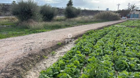 Photo 5 of Land for sale in Calle Zona la Ñorica Totana, S/n, Totana, Murcia