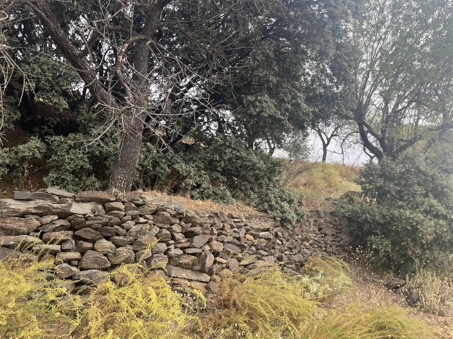 Terreno en venta en La Taha