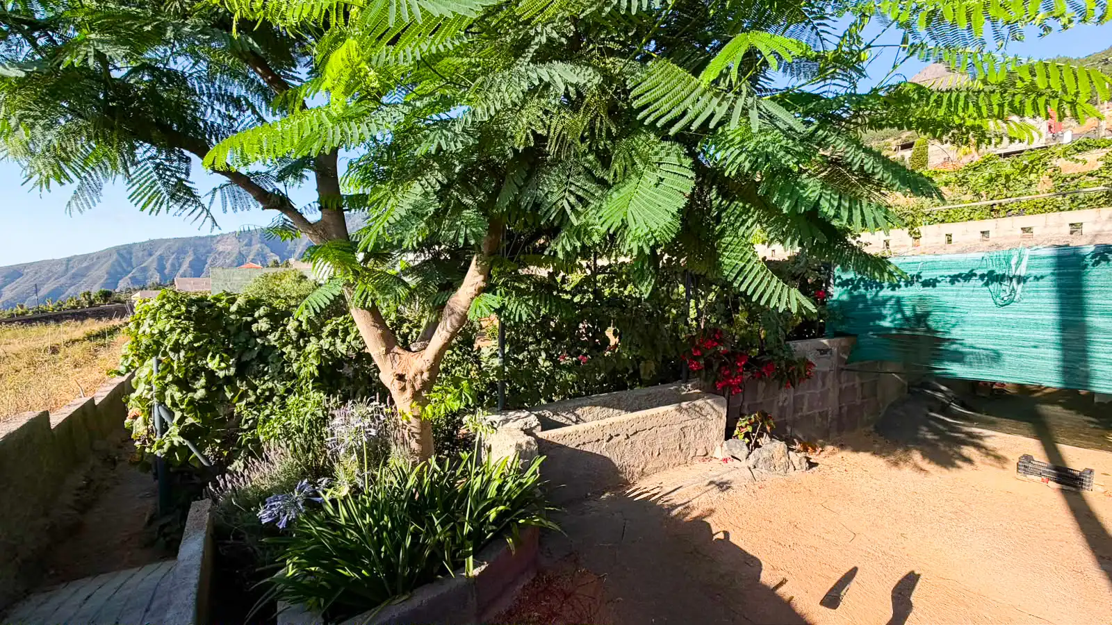 Rural land for sale in Arafo, imagen 7