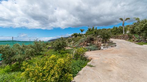 Foto 3 de Finca rústica en venta en Alcalá, Guía de Isora