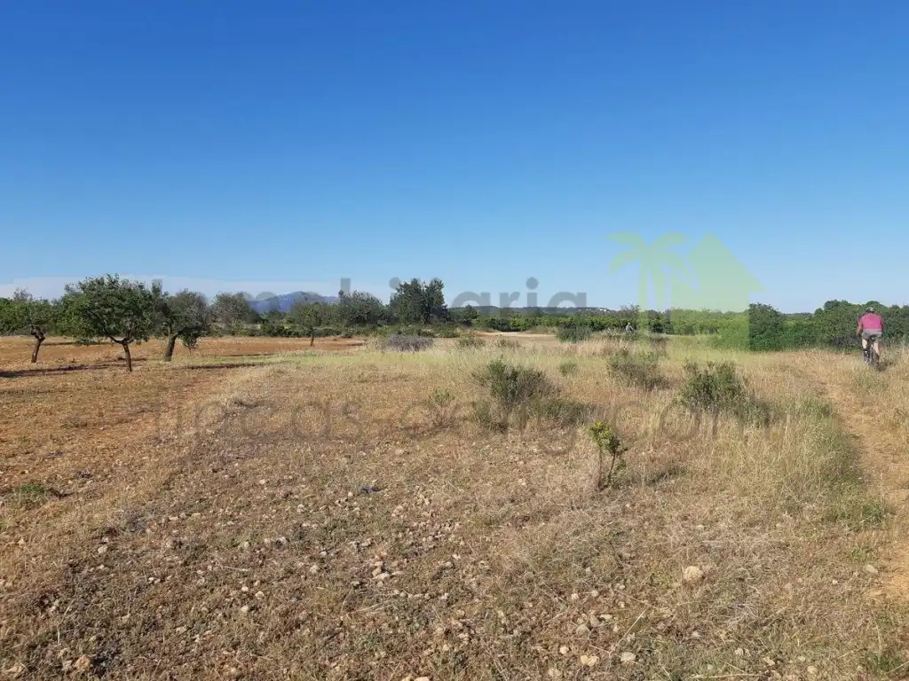 Terreno residencial en venta en Pueblo, imagen 8
