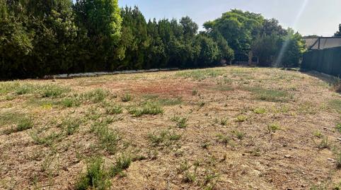 Foto 5 de Residencial en venda a Calle Guadalquivir, 1, Las Almenas, Sevilla