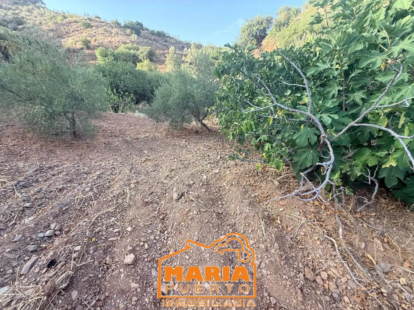 Terreno rustico in vendita a Almogía, imagen 20