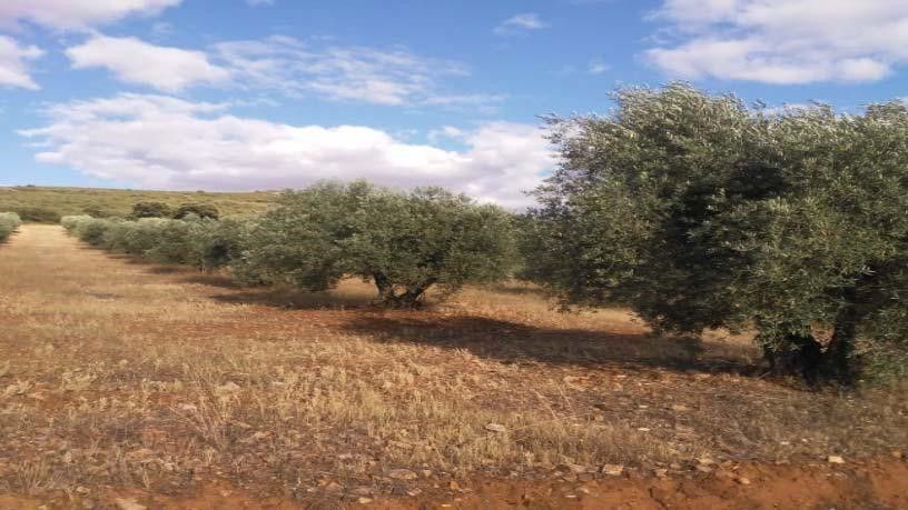 Residencial en venda en Piedrabuena