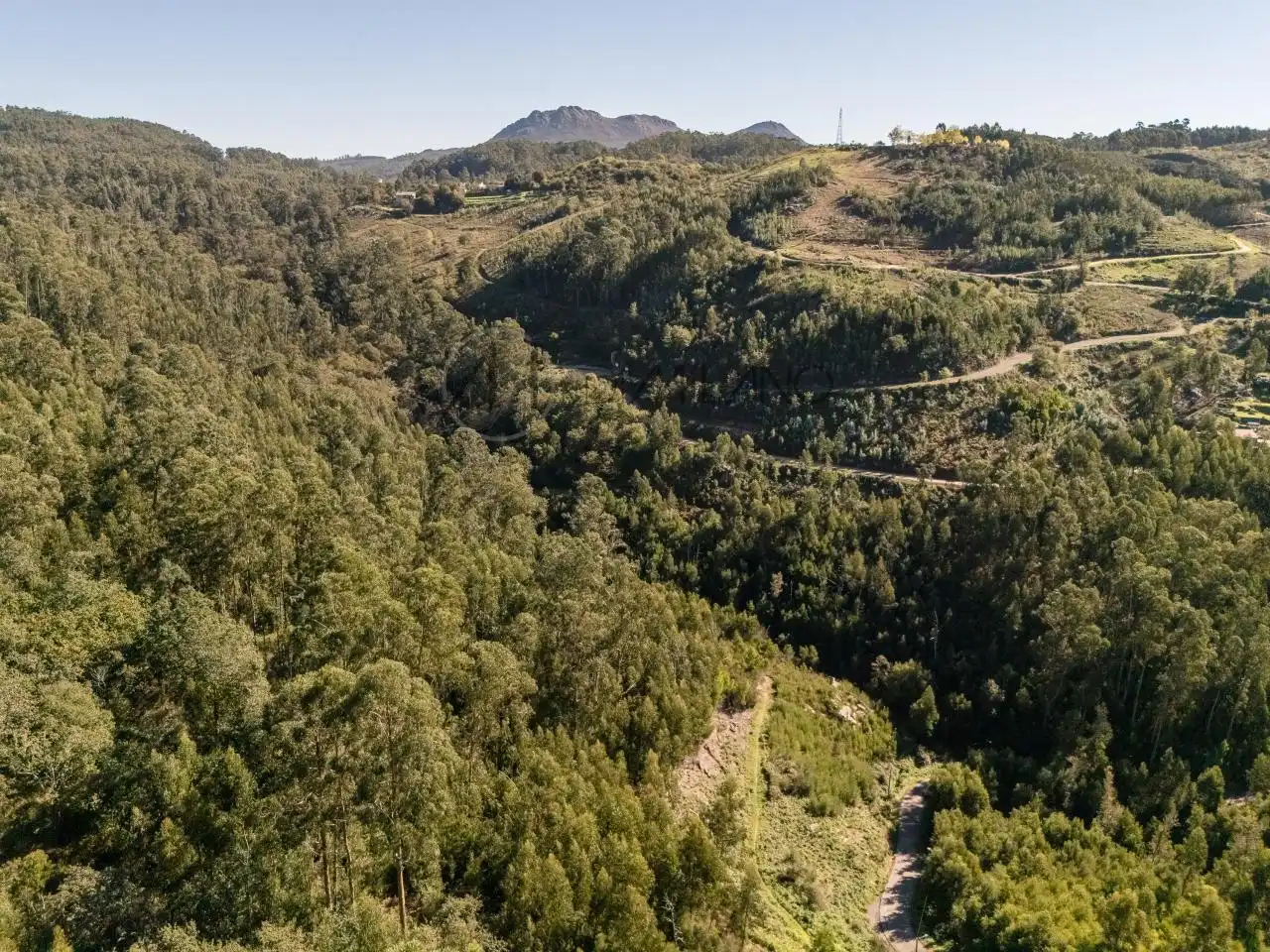 Vista exterior de Casa o xalet en venda en Nigrán amb Calefacció, Jardí privat i Terrassa