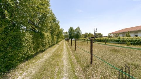 Foto 4 de Finca rústica en venta en Poligonos, Fuente El Saz de Jarama, Madrid
