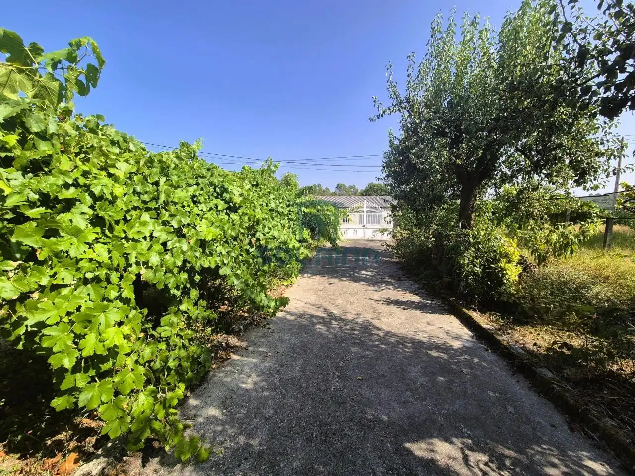 Casa o xalet en venda en Coles amb Calefacció, Jardí privat i Moblat