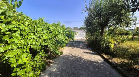 Foto 5 de Casa o xalet en venda a Coles, Ourense