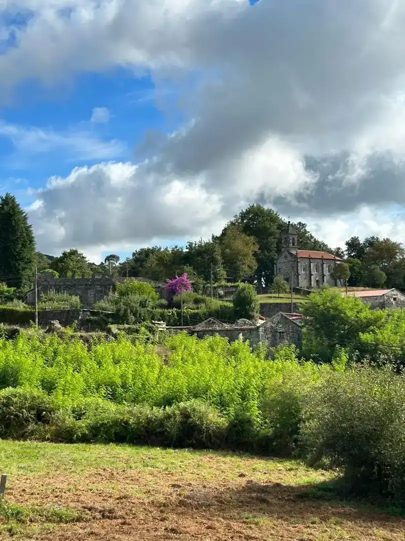 Vista exterior de Casa o xalet en venda en Fornelos de Montes