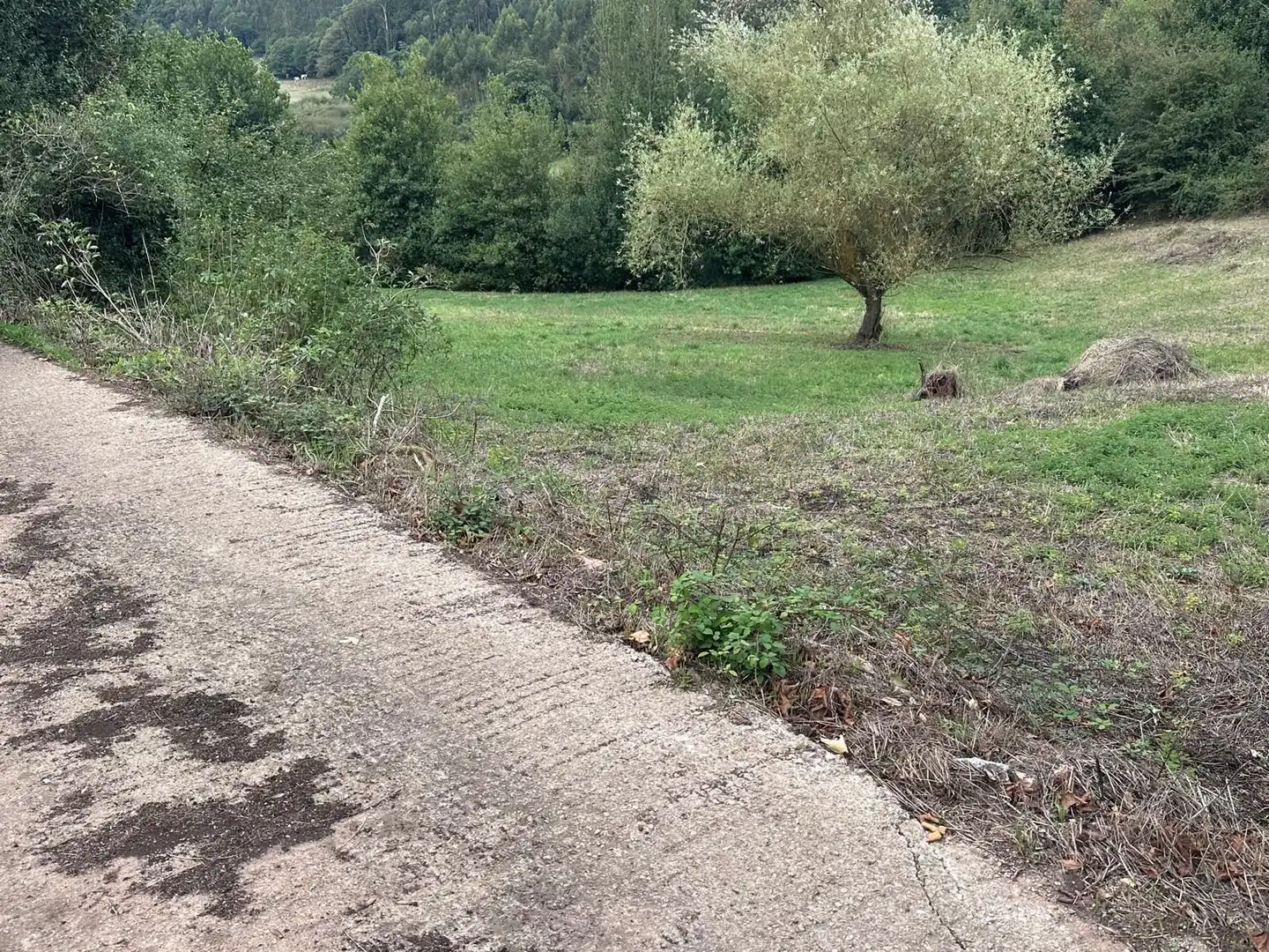 Terreno residencial en venta en Lugar AREÑES, imagen 13