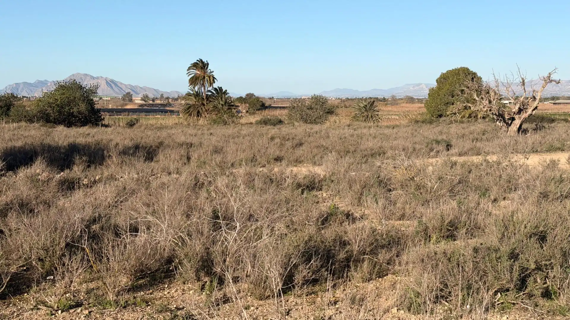 Terreno residencial en venta en La Marina, imagen 37