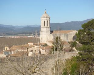 Loft de lloguer a Carrer de la Muralla, Sant Daniel