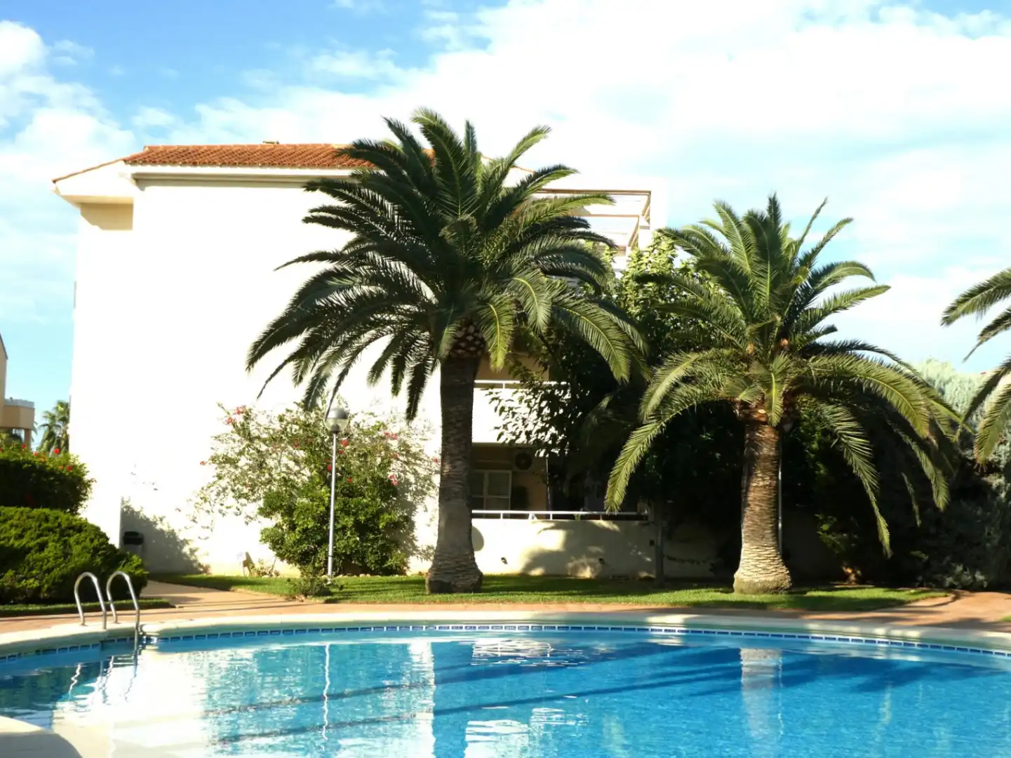 Ático con terraza en venta en Las Marinas / Les Marines, imagen 5