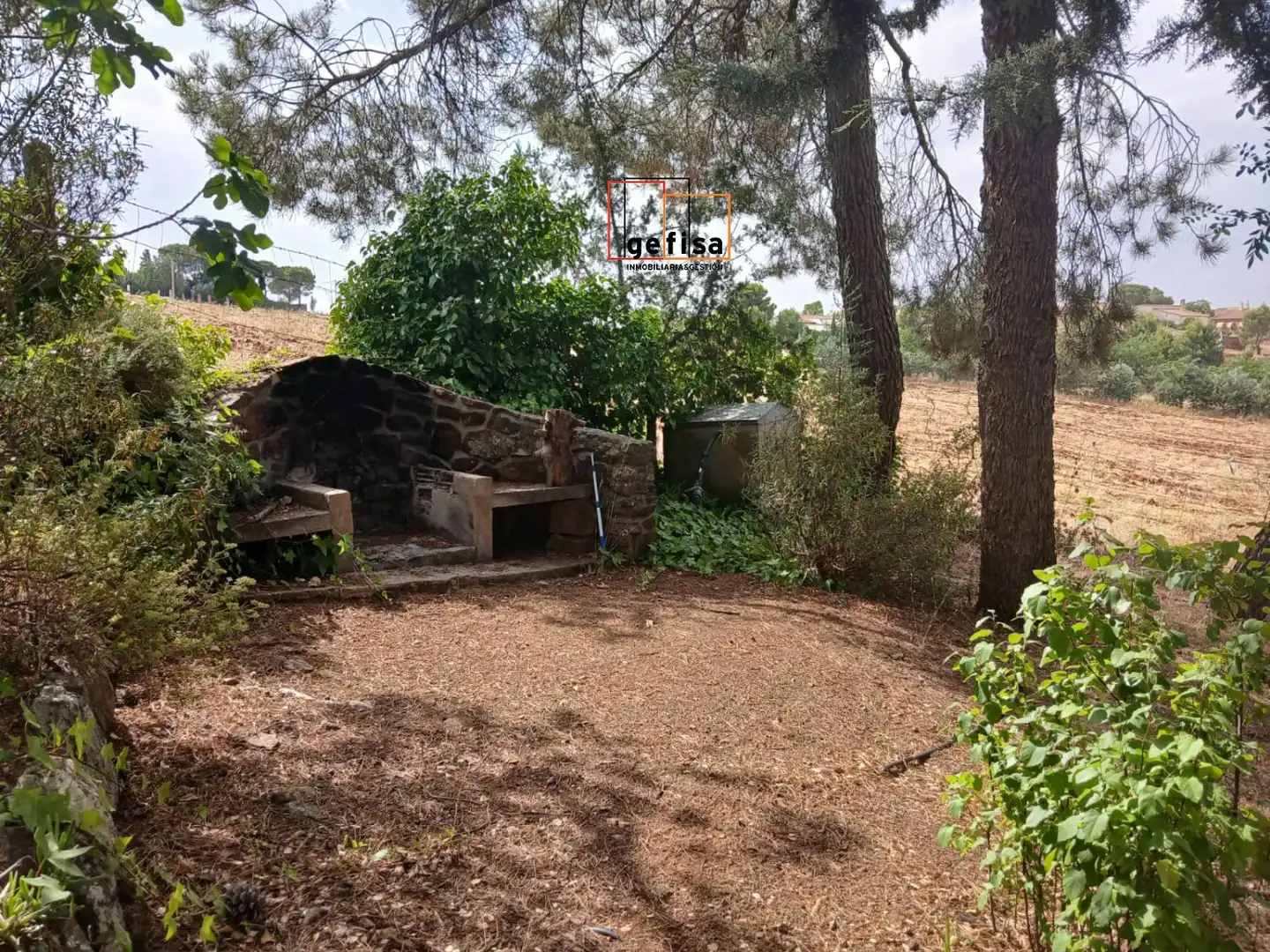 Jardín de Casa o chalet en venta en Santa Cruz de Mudela con Aire acondicionado, Calefacción y Terraza
