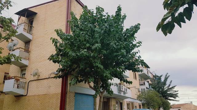 Piso en Venta en PINOS en Los Dolores