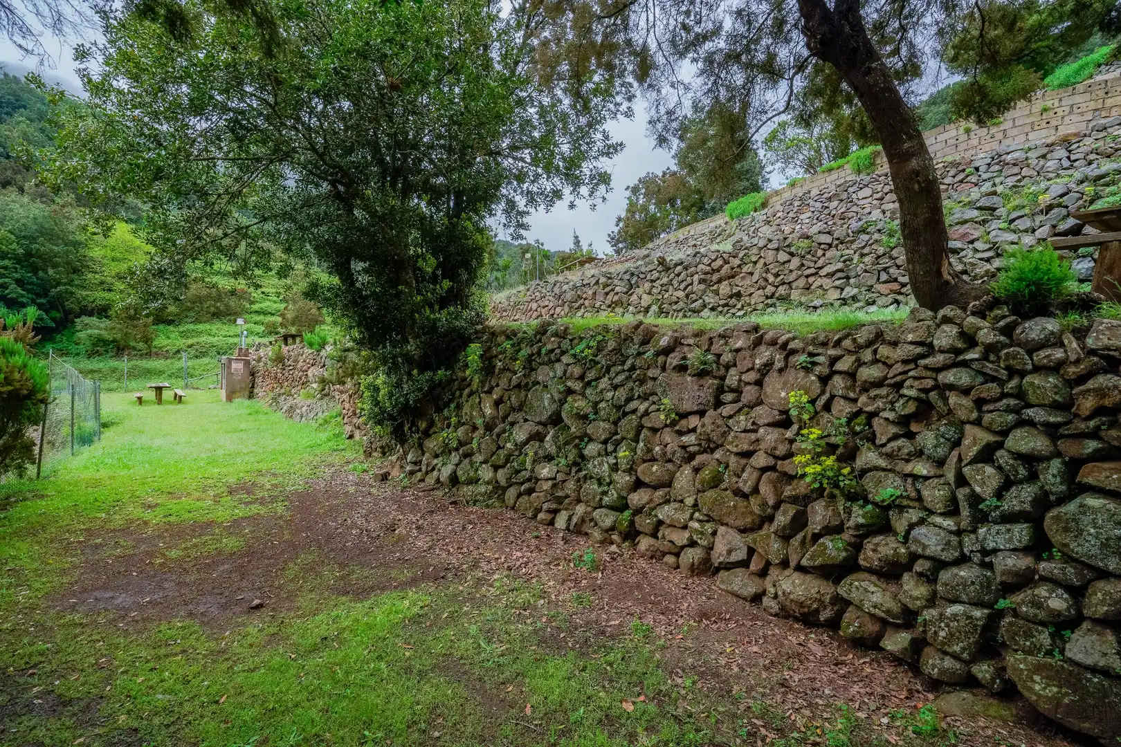 Finca rústica en venda a Calle Calle El Cedro, 52, Hermigua