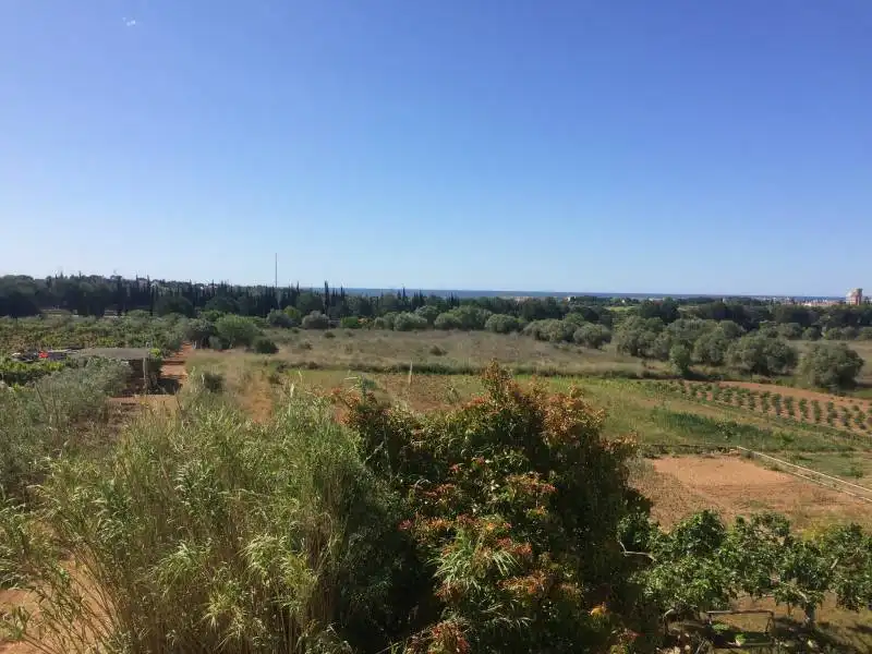 Country homes for sale in El Tancat - Mas d'en Gual
