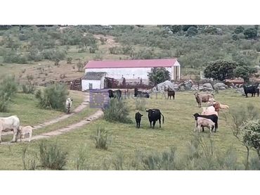 House for sale in Trujillo