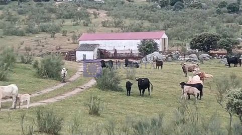 FINCA POR LA ZONA DE TRUJILLO