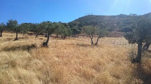 Terreni e lotti in vendita a Miralvalle - Av. Virgen del Puerto - La Data, imagen 6
