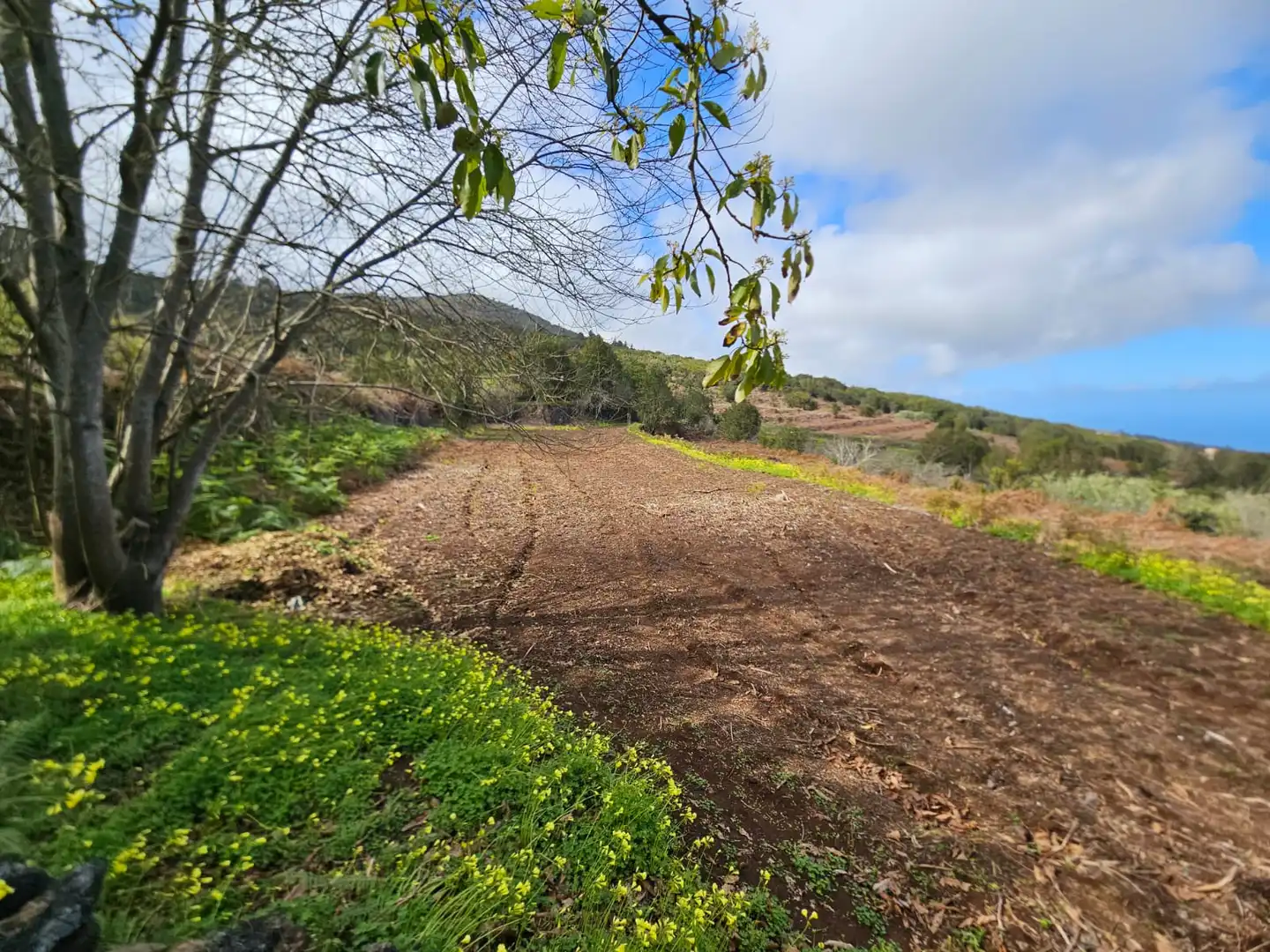 Country homes for sale in Icod de los Vinos  with Private garden, Terrace and Furnished