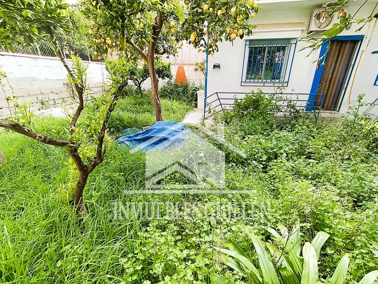 House with garden for sale in Berja, imagen 4