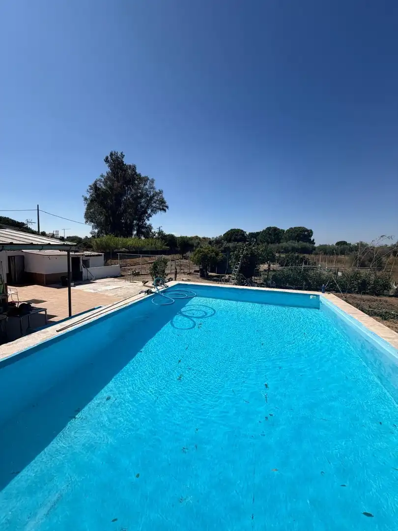 Piscina de Finca rústica en venta en Utrera