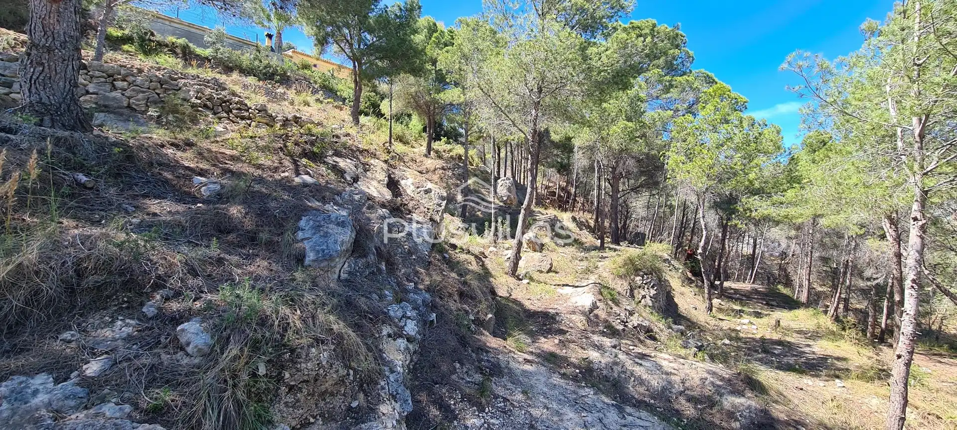 Terrenys i solars en venda a Oltamar - Cucarres, imagen 10